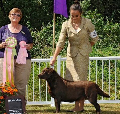 Fall Specialty: Best Junior Handler