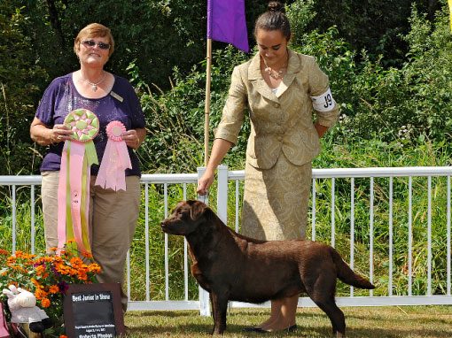 Fall Specialty: Best Junior Handler