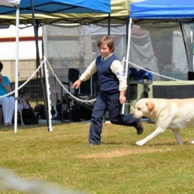 Fall Specialty: Junior Showmanship Masters