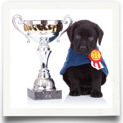 Trophy Sponsorship
