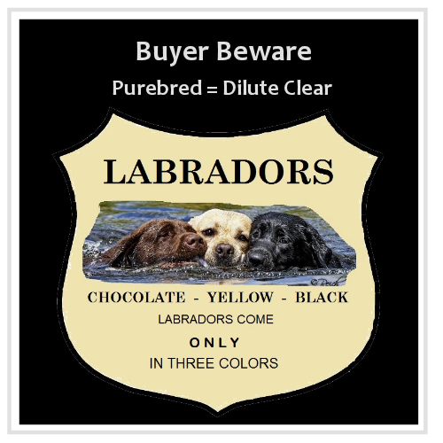 Hunt Test Requirements Puget Sound Labrador Retriever Association