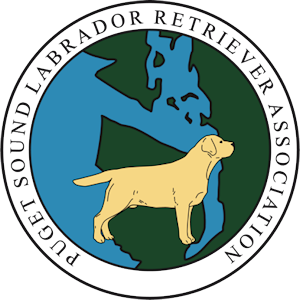 Puget Sound Labrador Retriever Association